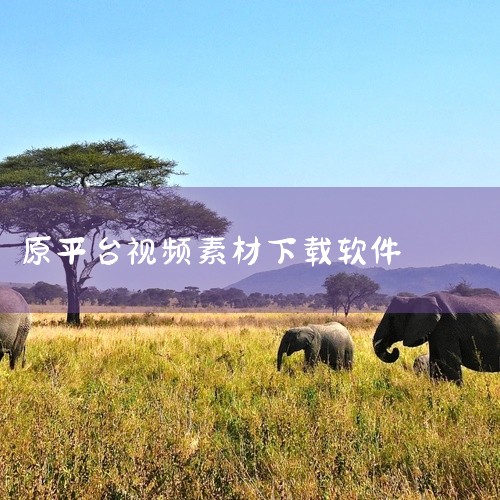 视频素材批量下载工具主要有易撰视频库，主流素材可通过垂直领域筛选、热门榜单追踪、版权素材平台获取。具体介绍如下：视频素材批量下载工具易撰视频库：功能特点：支持多平台素材整合，可按领域、关键词、播放量等,