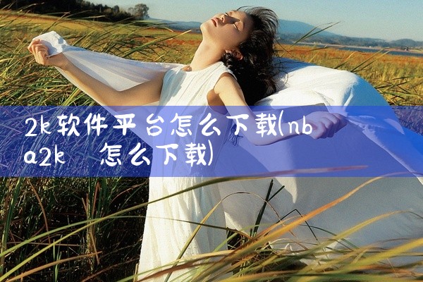 2k软件平台怎么下载